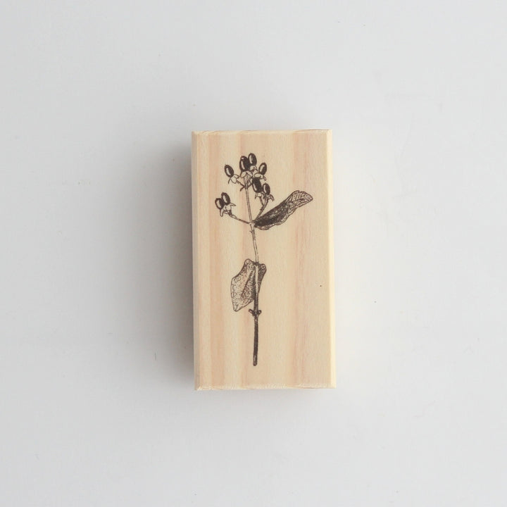 Rubber Stamps -Hypericum