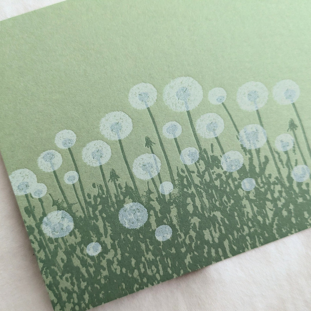knoten letterpress / ポストカード 綿毛 黄緑