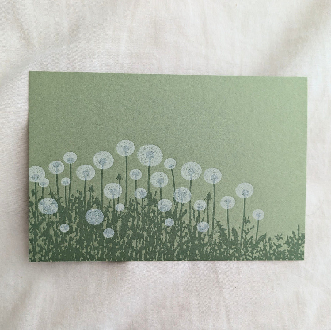 knoten letterpress / ポストカード 綿毛 黄緑