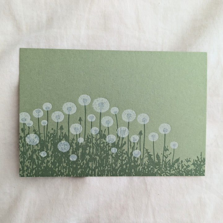 knoten letterpress / ポストカード 綿毛 黄緑
