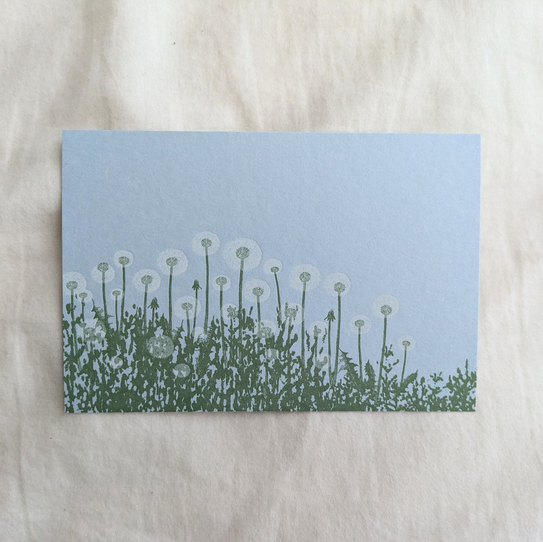 knoten letterpress / ポストカード 綿毛 水色