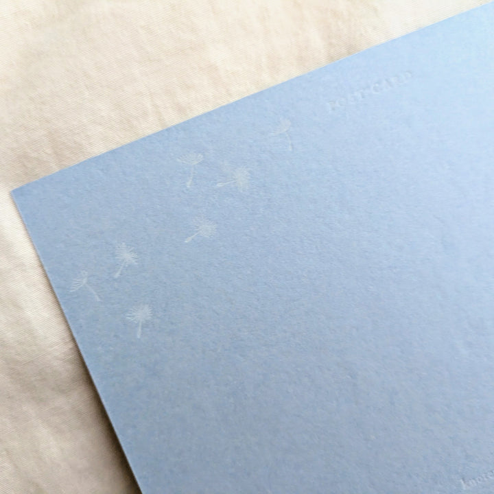 knoten letterpress / ポストカード 綿毛 水色
