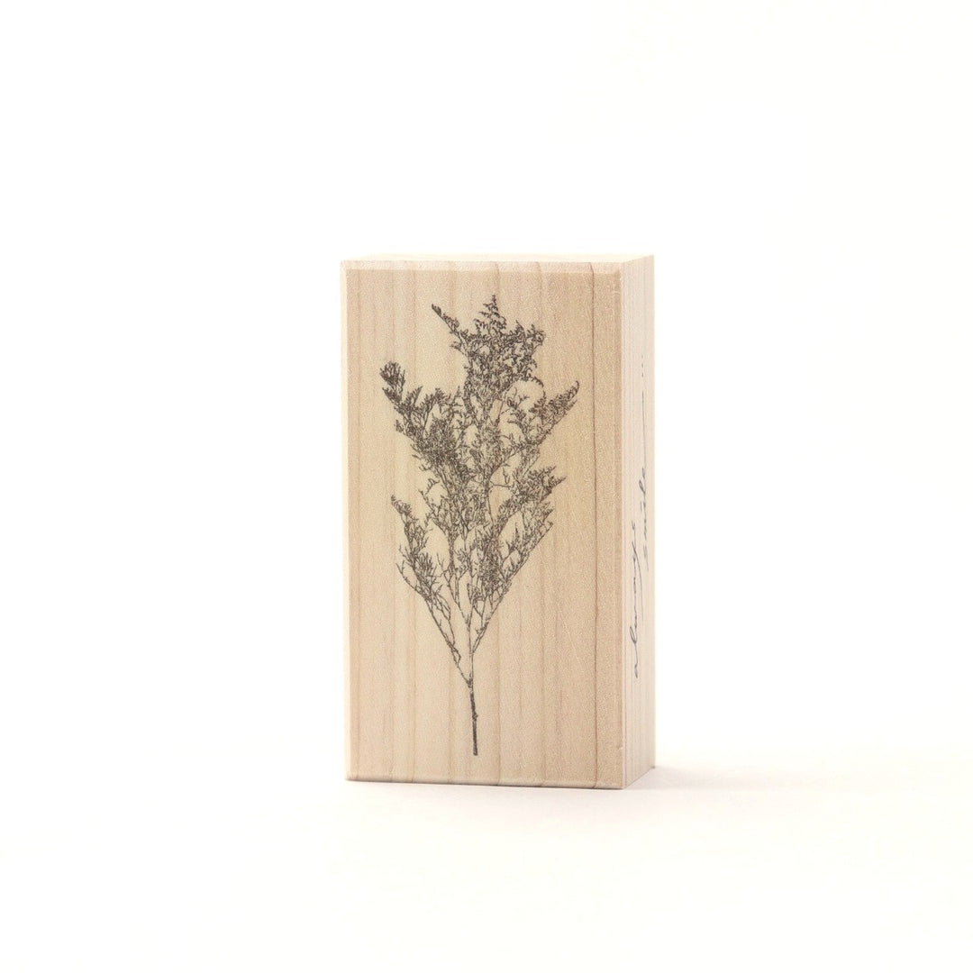 always smiles... / Rubber Stamp -Limonium bellidifolium