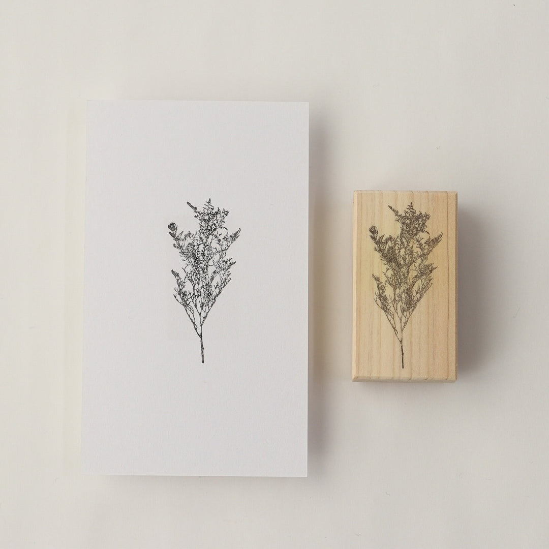 always smiles... / Rubber Stamp -Limonium bellidifolium