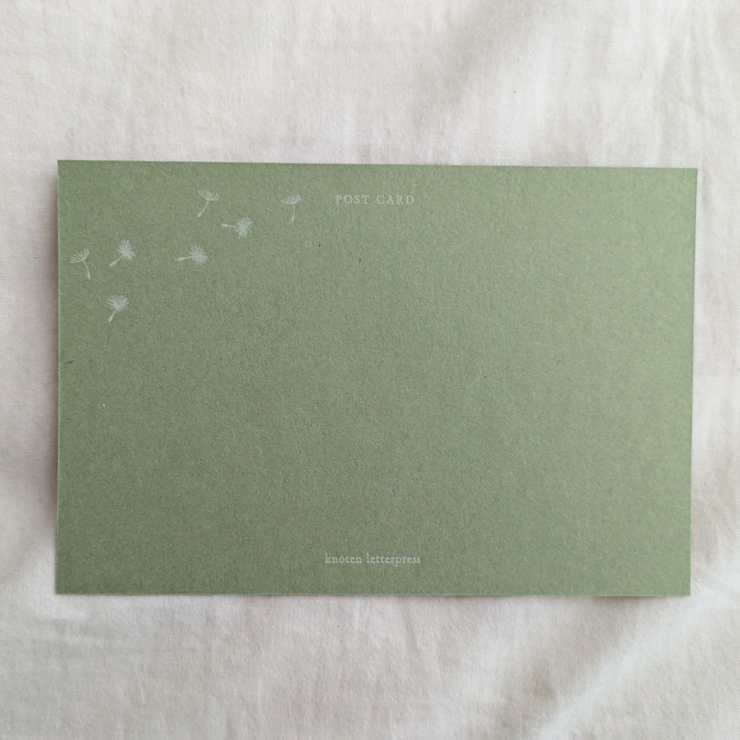 knoten letterpress / ポストカード 綿毛 黄緑