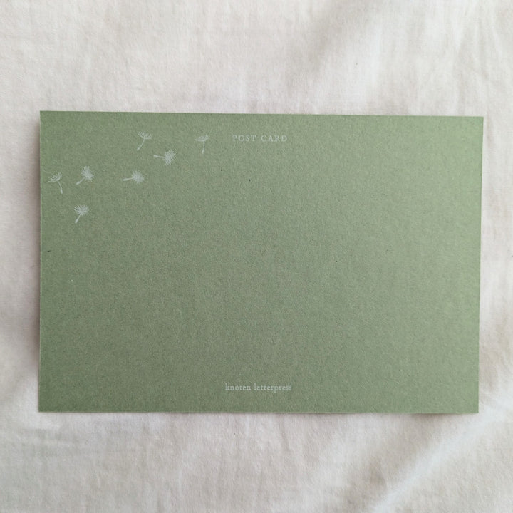 knoten letterpress / ポストカード 綿毛 黄緑