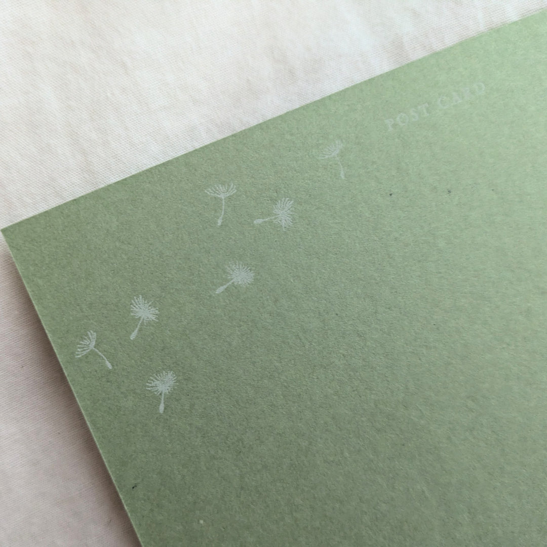 knoten letterpress / ポストカード 綿毛 黄緑