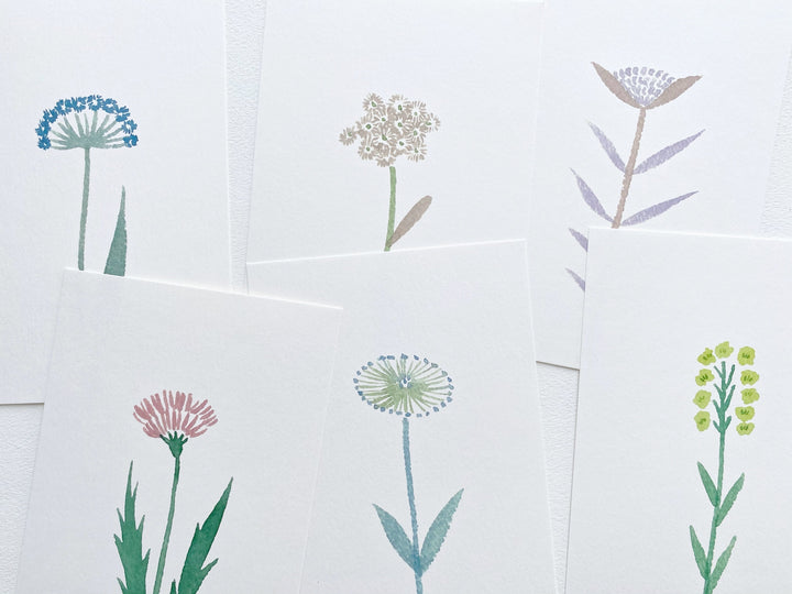 Card set -6flowers to_pa05