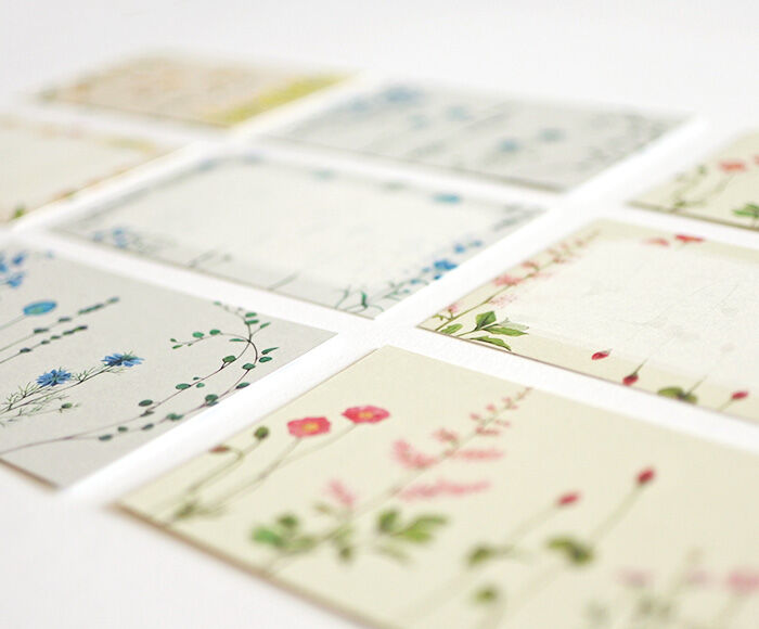 mocolier / Message Card Box -Three colored flowers
