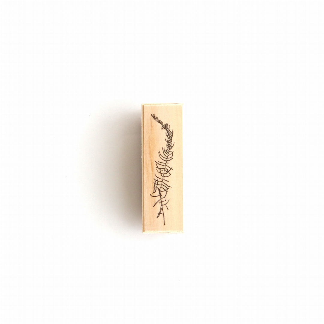 always smile... / Rubber Stamps -sea star fern