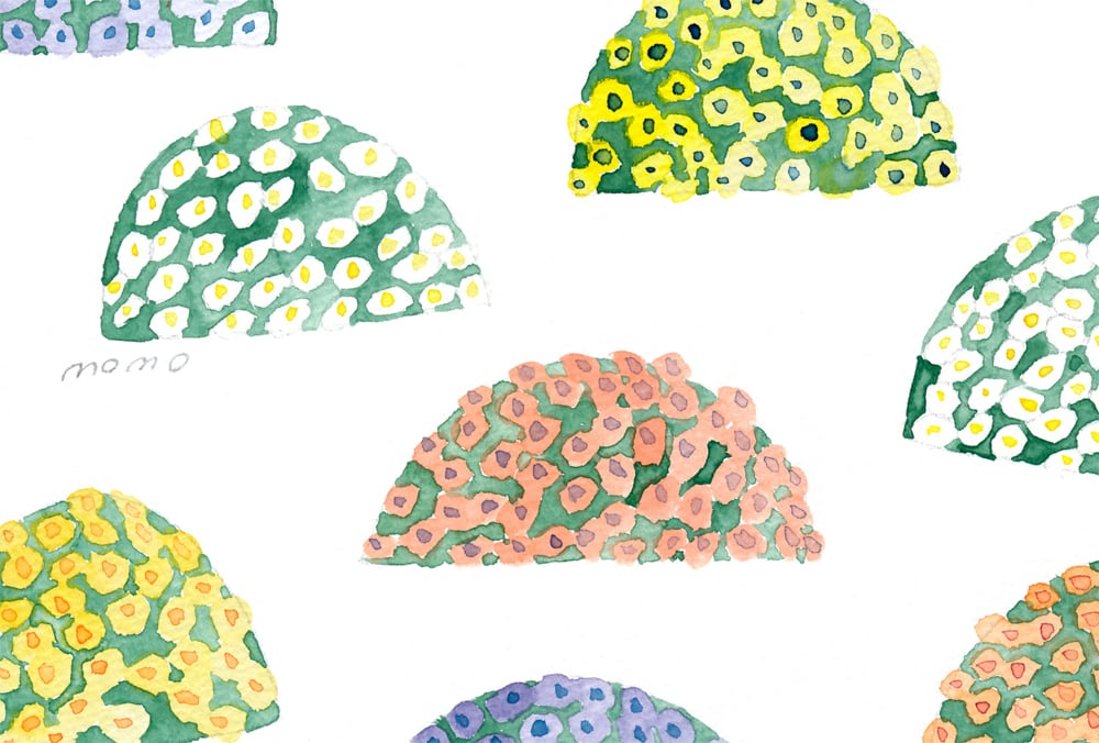 totoganashi – PAPER SHOP JAPAN
