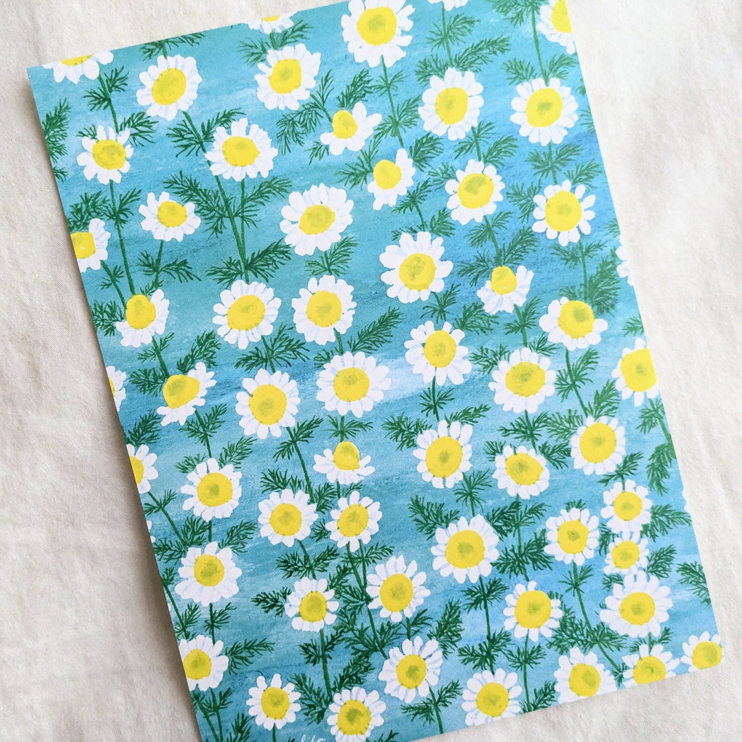 harukazeiro / Letter Writing Set -chamomile