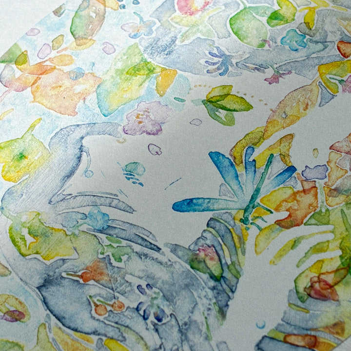 清水美紅 / 丸いカード -優しくなる