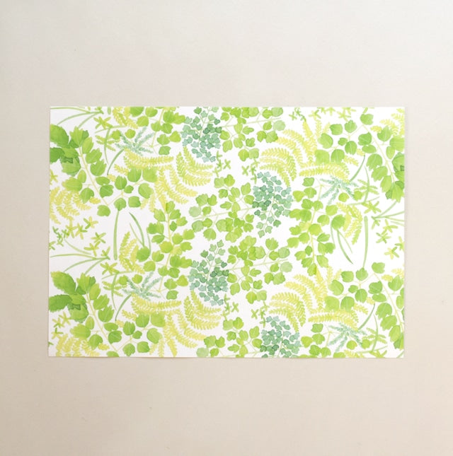 Tomoko Shinozuka / A4 Wrapping paper B / 5sheets