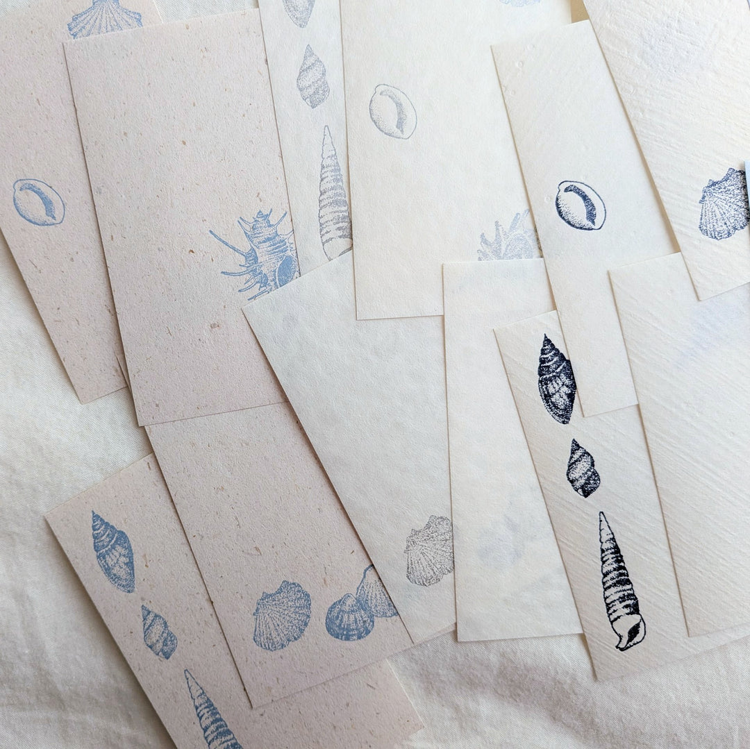 knoten letterpress / Small Box Washi Memo -Seashell