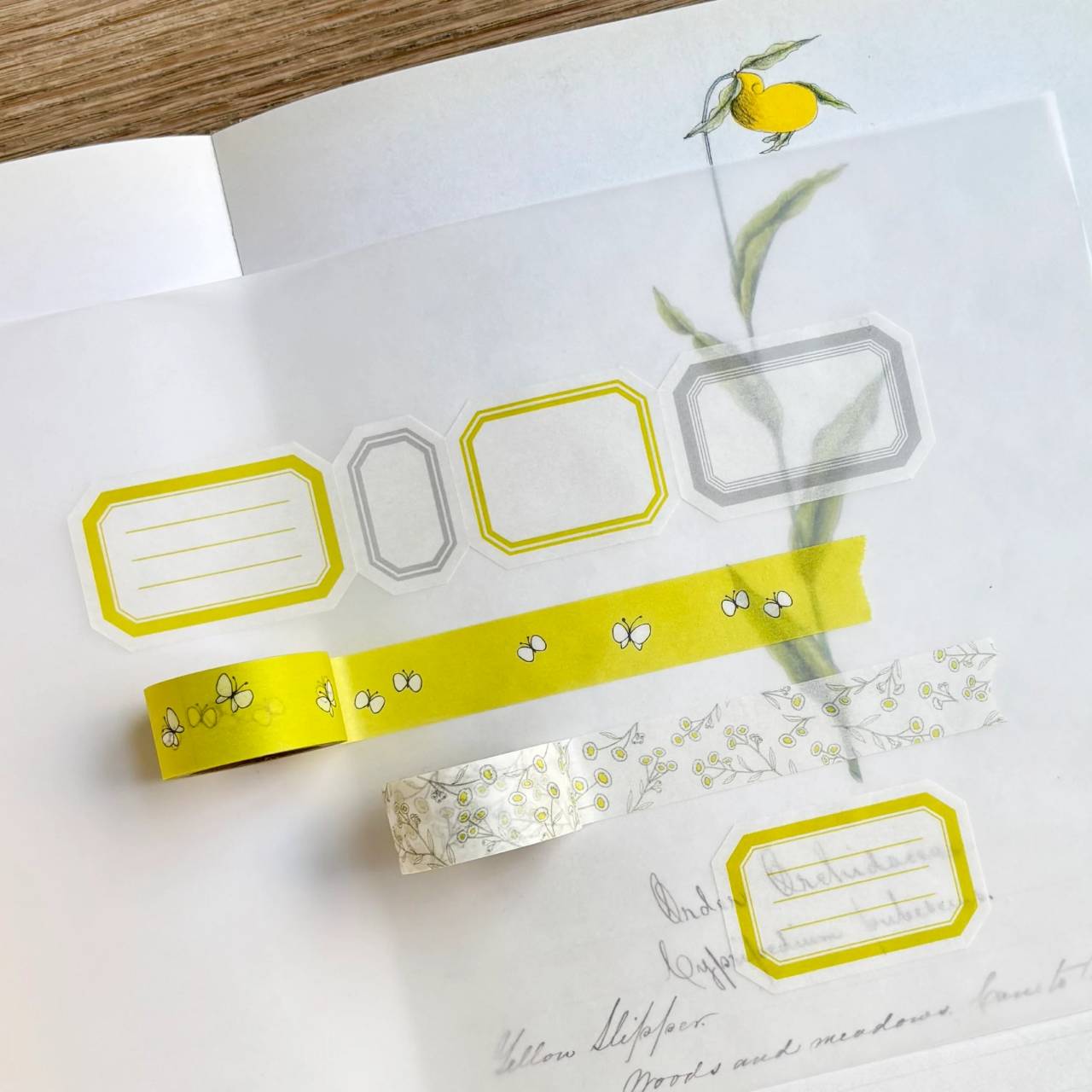 Hutte Paper Works / [easy to write on!] Washi Tape -Choucho PMT-112