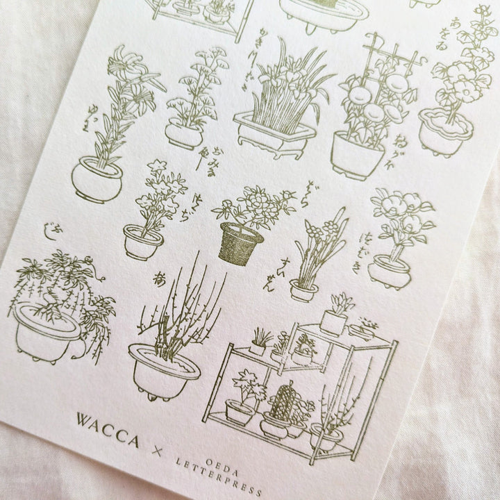 OEDA LETTERPRESS Collaboration with WACCA JAPAN / LETTERPRESS sticker sheet EDO GARDENING / greenish brown