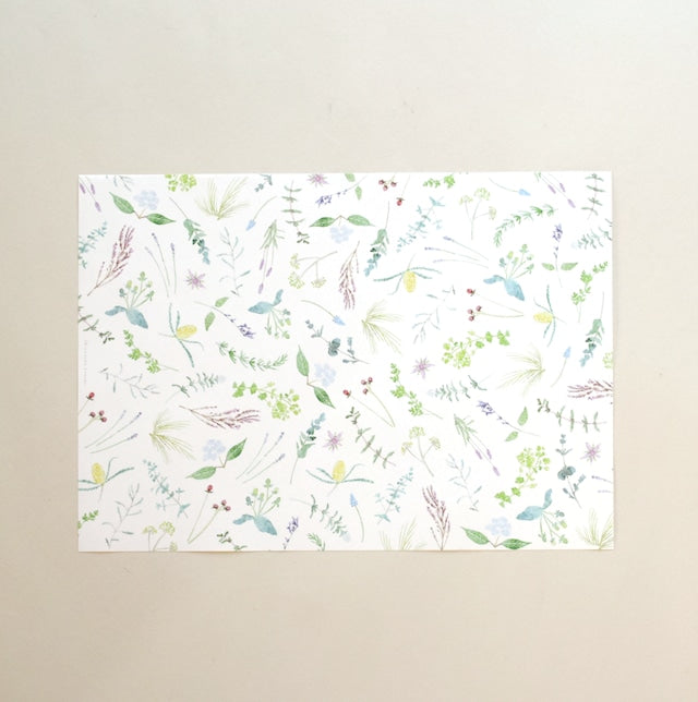 Tomoko Shinozuka / A4 Wrapping paper B / 5sheets