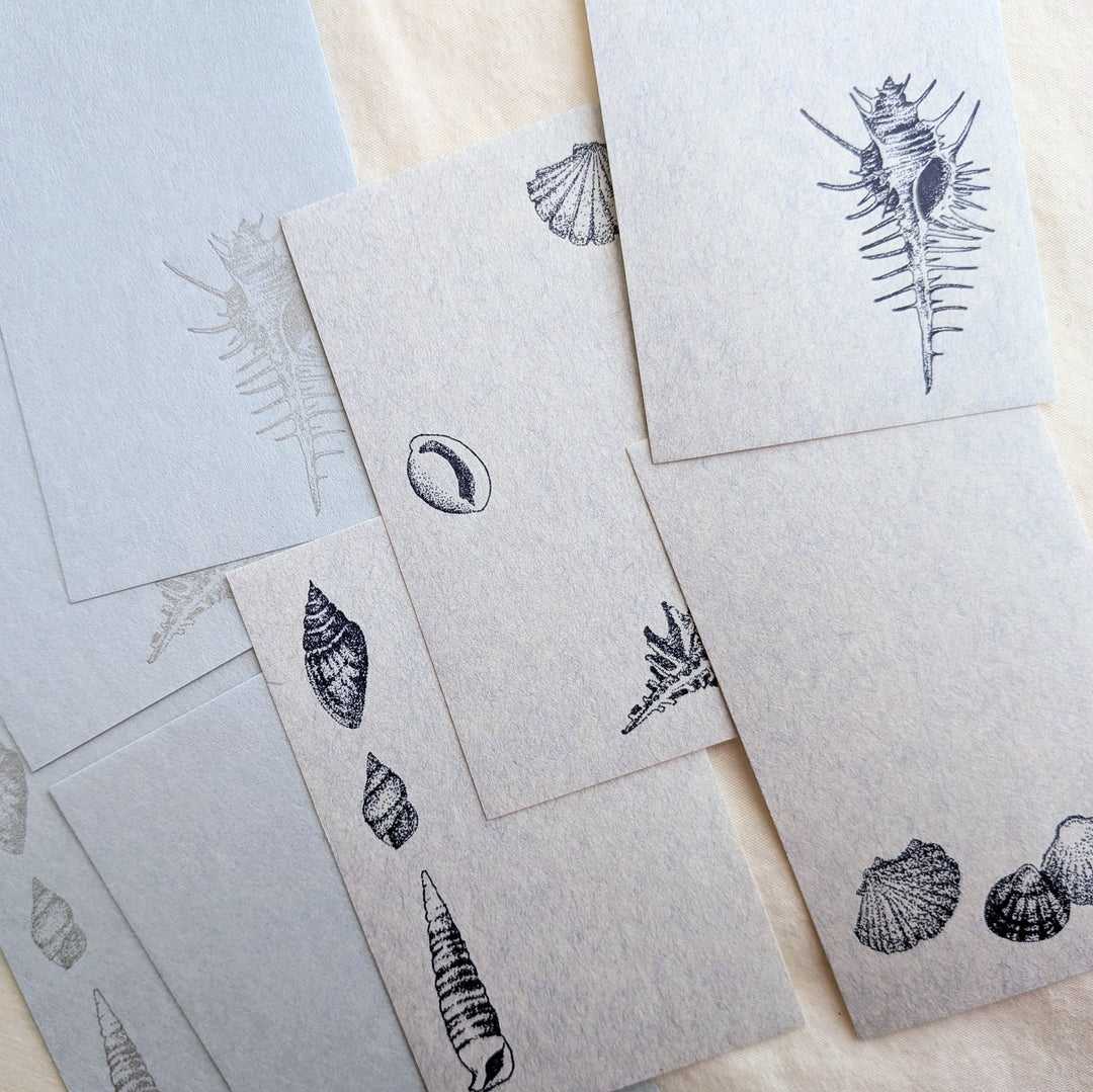 knoten letterpress / Small Box Washi Memo -Seashell