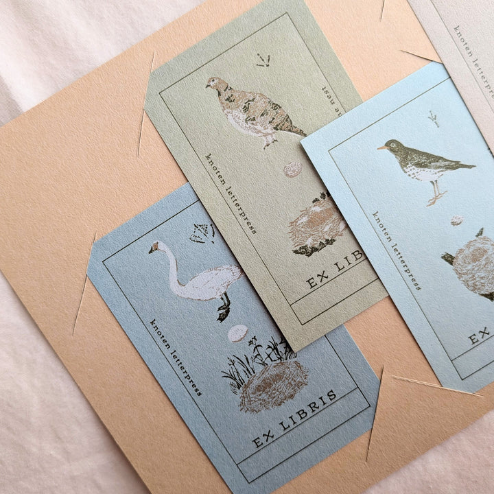 knoten letterpress /  Mini Card Set -Bookplate [Bird and Nest]