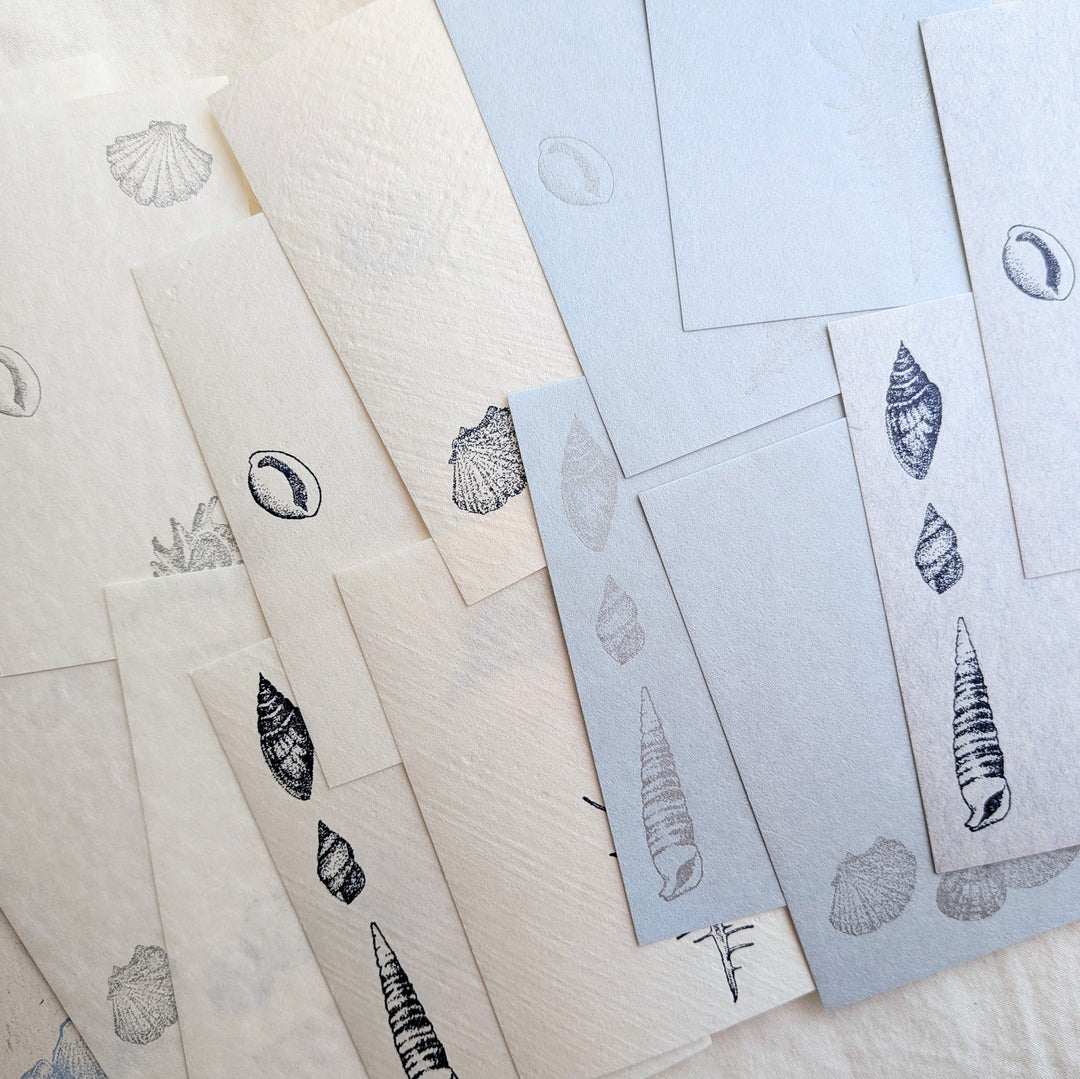 knoten letterpress / Small Box Washi Memo -Seashell