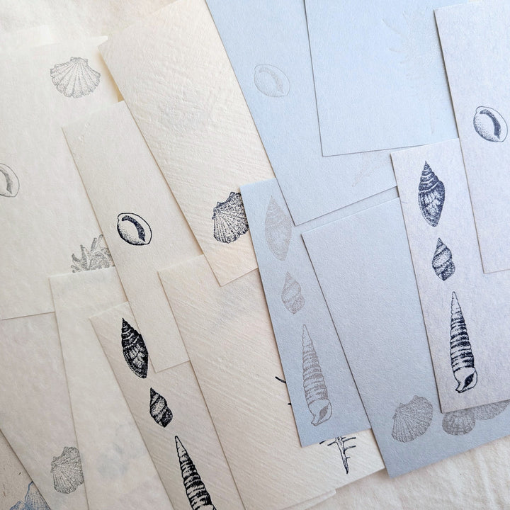 knoten letterpress / Small Box Washi Memo -Seashell