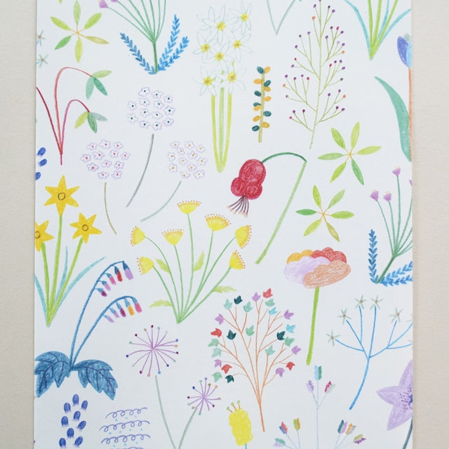 Tomoko Shinozuka / envelope 5set A