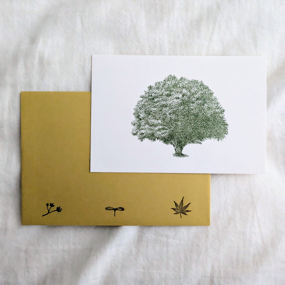 knoten letterpress / Envelope Set -Tree