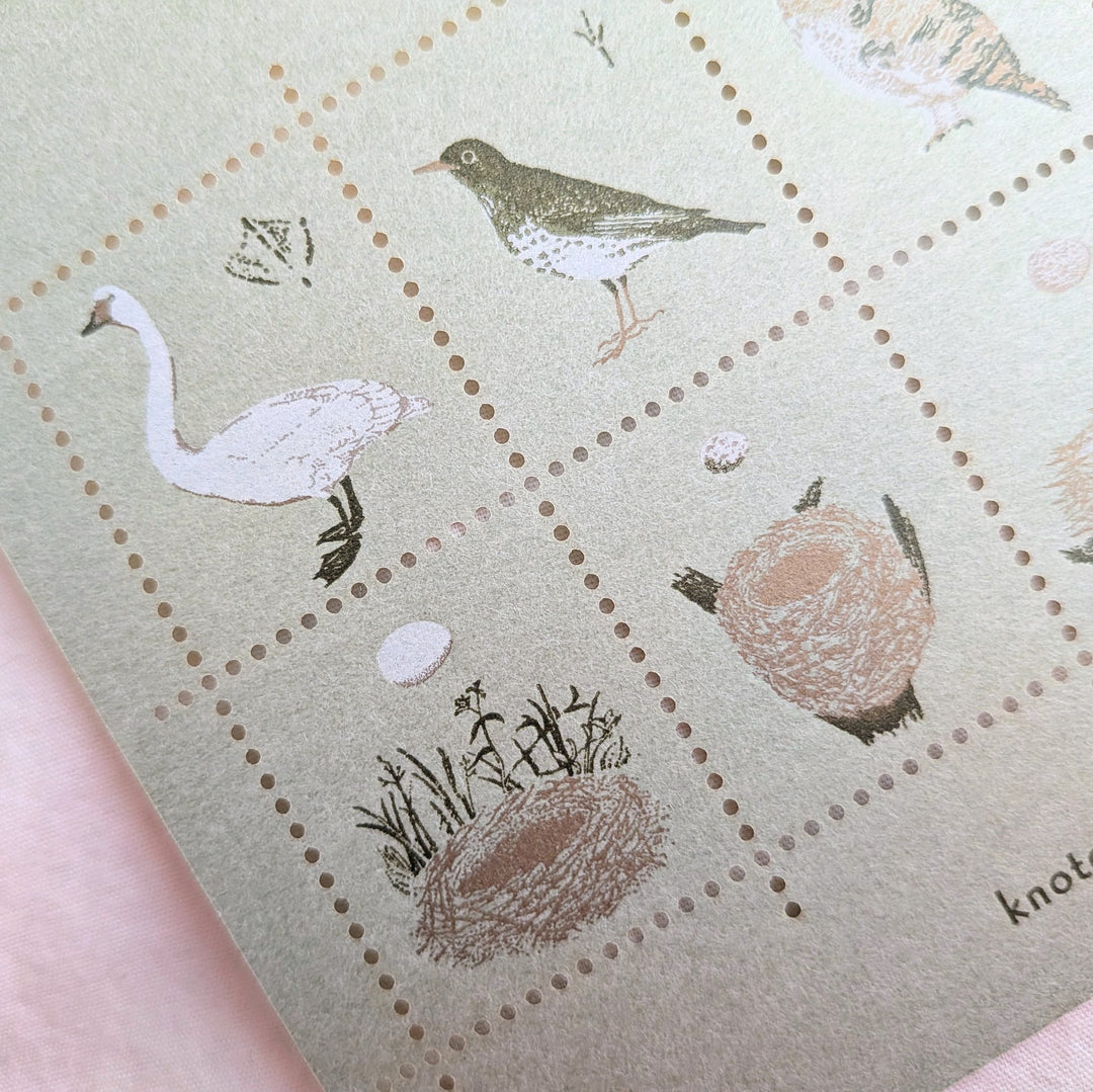 knoten letterpress / Stamp-style sticker -Bird and Nest /Green