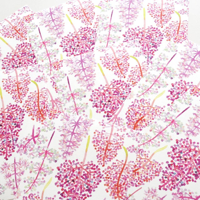 Tomoko Shinozuka / Mini Letter Paper - Asian Grapes