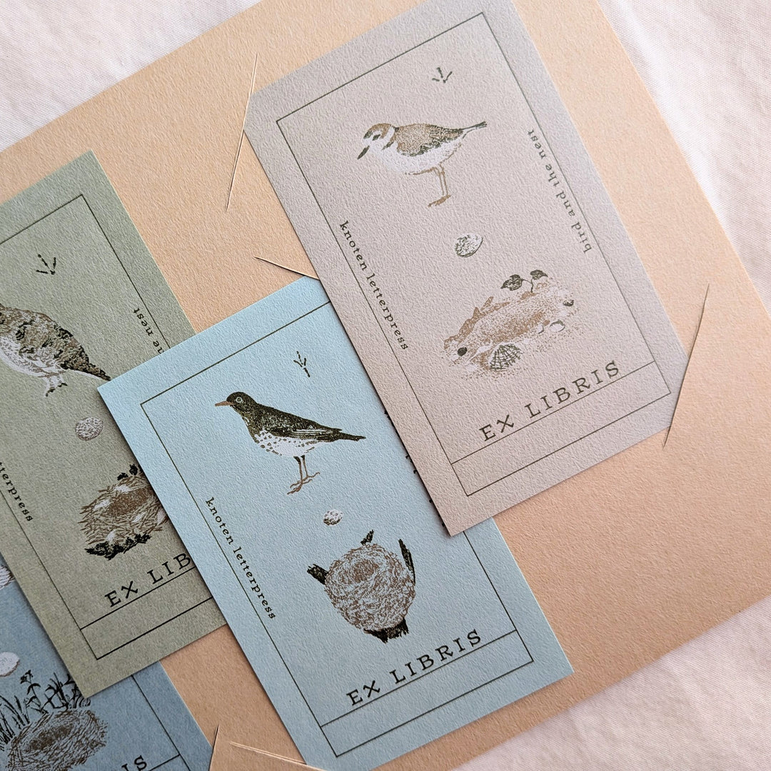 knoten letterpress /  Mini Card Set -Bookplate [Bird and Nest]