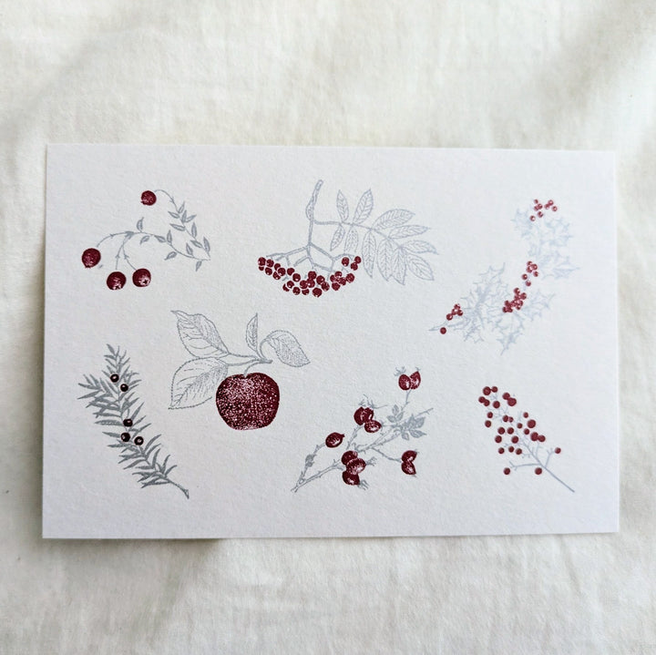 knoten letterpress / Post Card -Red Fruits