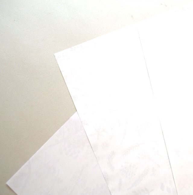 Tomoko Shinozuka / A4 Wrapping paper B / 5sheets