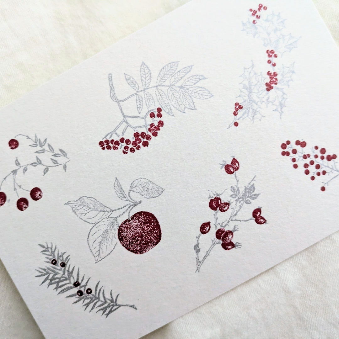 knoten letterpress / Post Card -Red Fruits