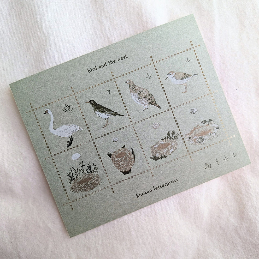 knoten letterpress / Stamp-style sticker -Bird and Nest /Green