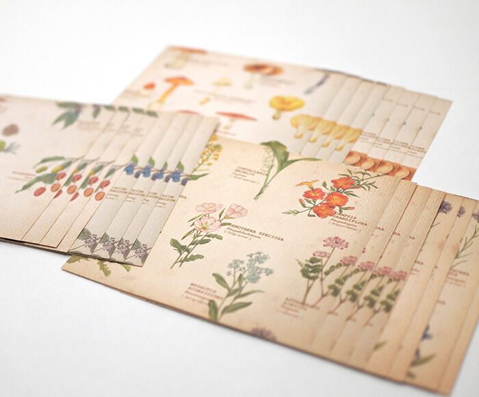 Memo Paper -Wild flowers, nuts and mushrooms