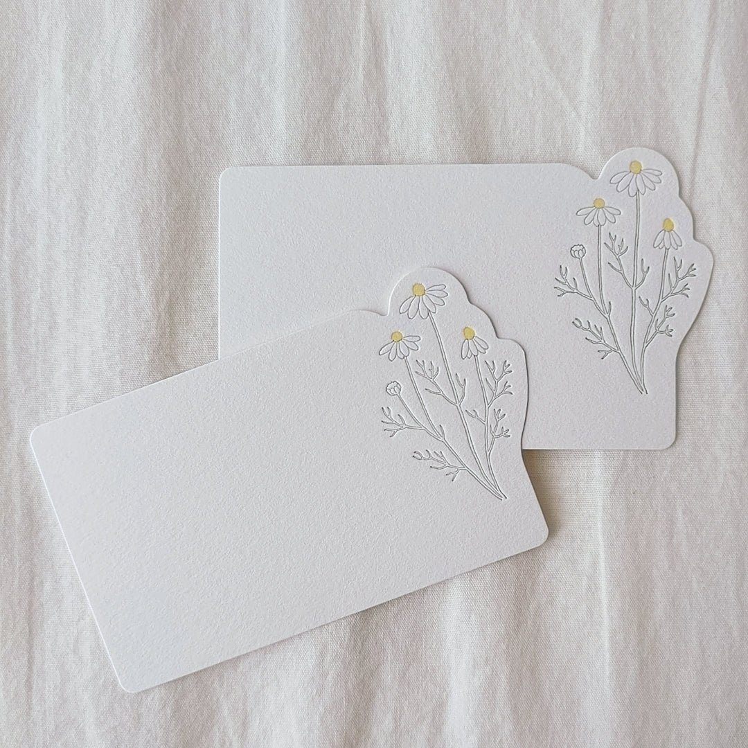 Message Card -Chamomile