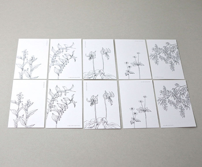 Message Cards -mocolier Wildflowers 001